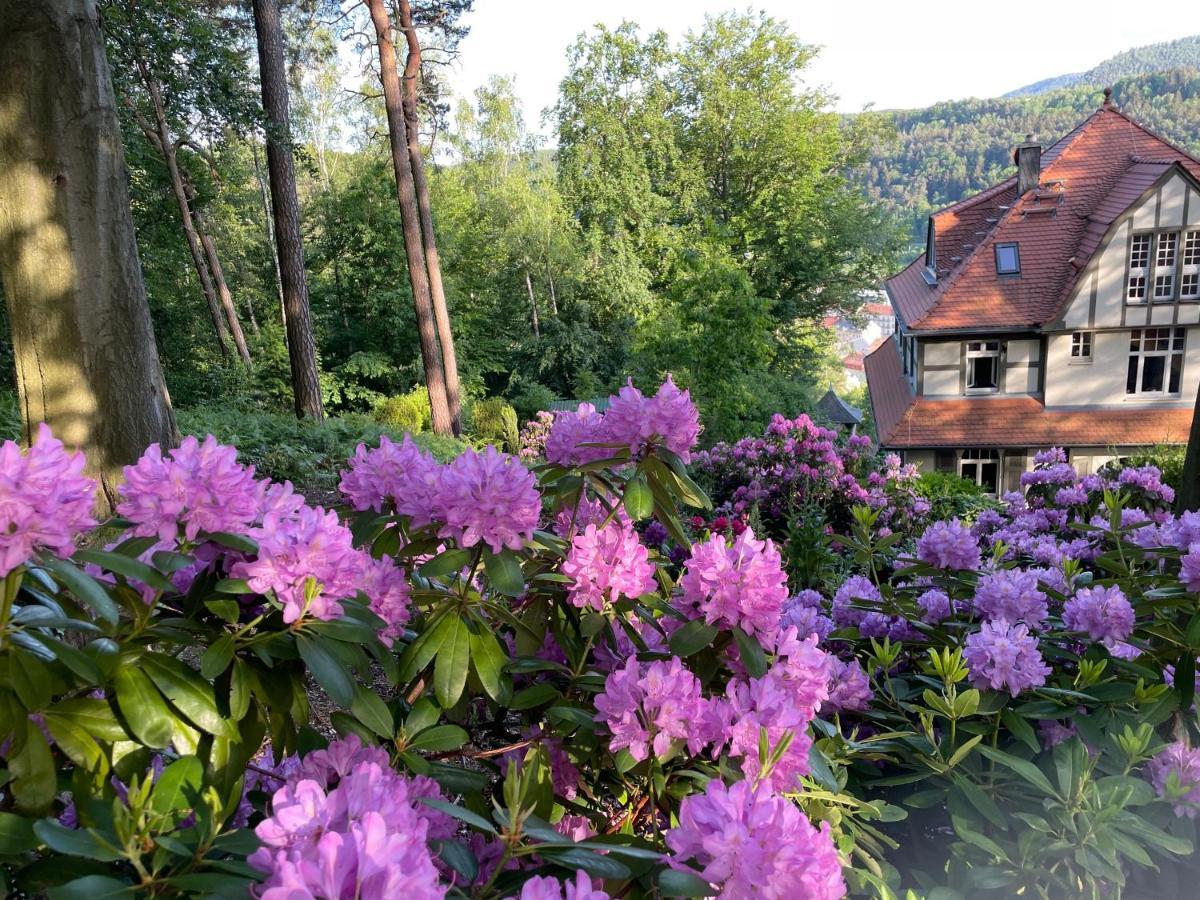 Villa Sonnenburg Bad Schandau Extérieur photo