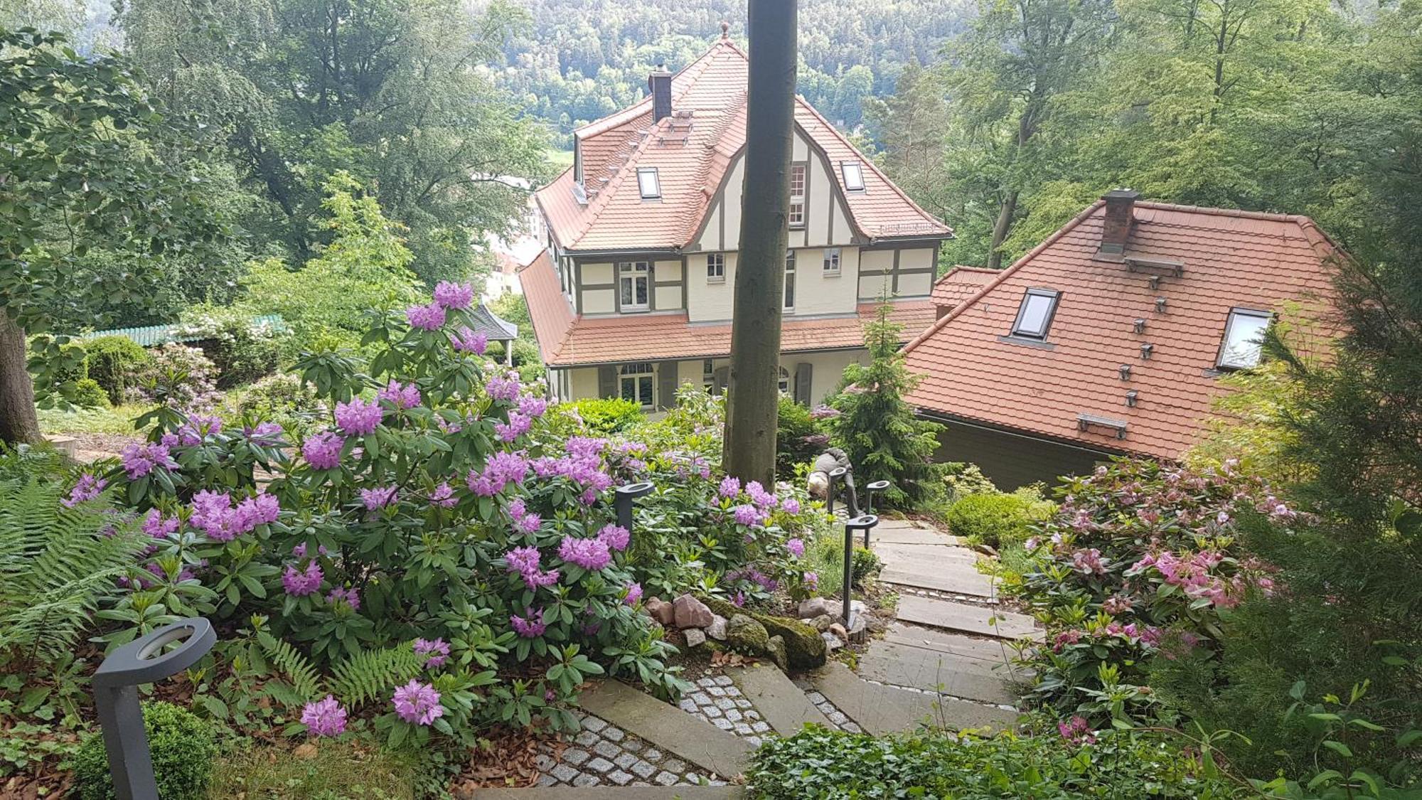 Villa Sonnenburg Bad Schandau Extérieur photo